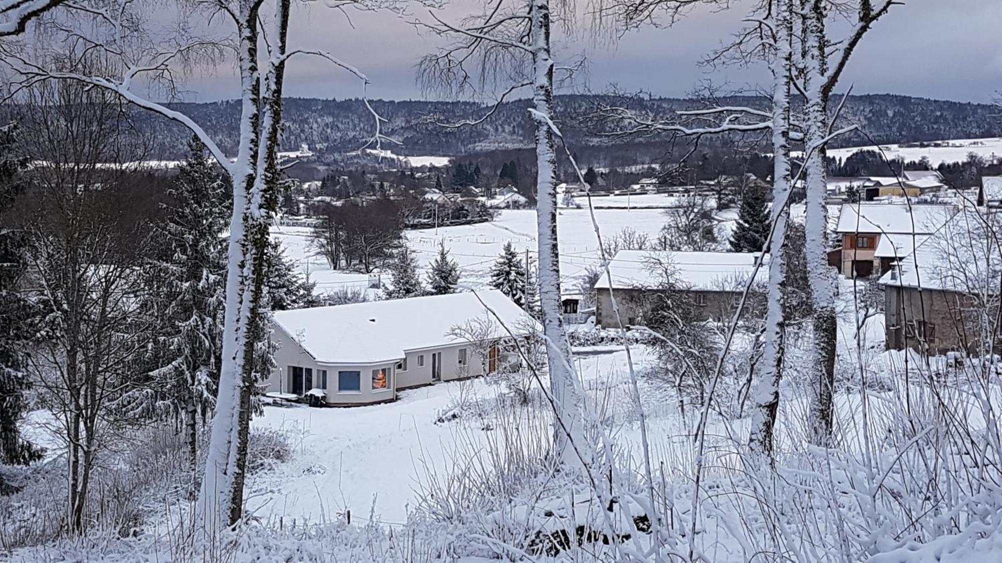 Gerardmer La Villa De Corcieux Екстер'єр фото