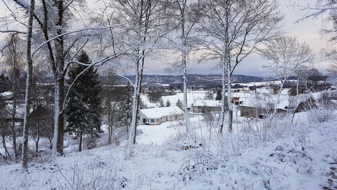 Gerardmer La Villa De Corcieux Екстер'єр фото